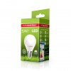 EUROELECTRIC LED Лампа "Шар" ЕКО G45 5W E14 4000